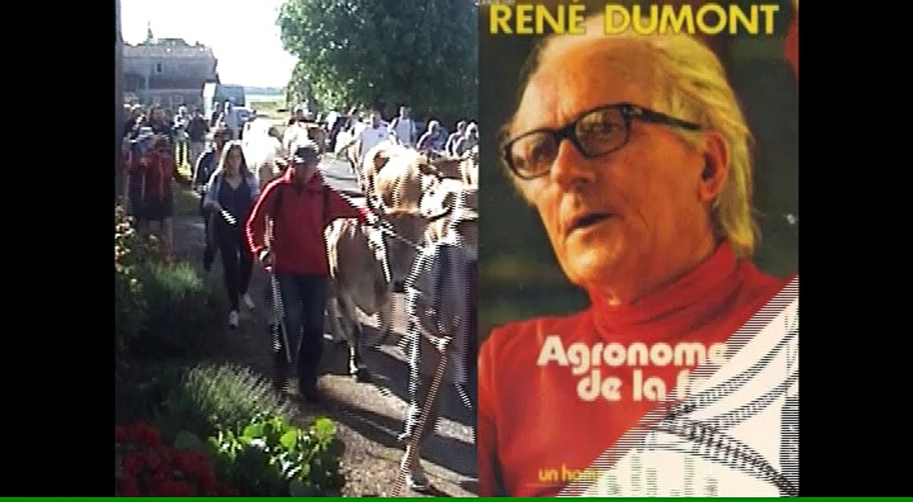 "Candidats libres à Royan", le clip de la soirée de Benoît Biteau et Stéphanie Muzard, soutenus par Jean-Paul Jaud, réal