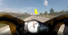 Motociclista faz travagem de emergência arrepiante quando circulava a mais de 240km/h