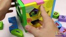 Learning Alphabet Numbers with Wooden Train Toys for Children Todd