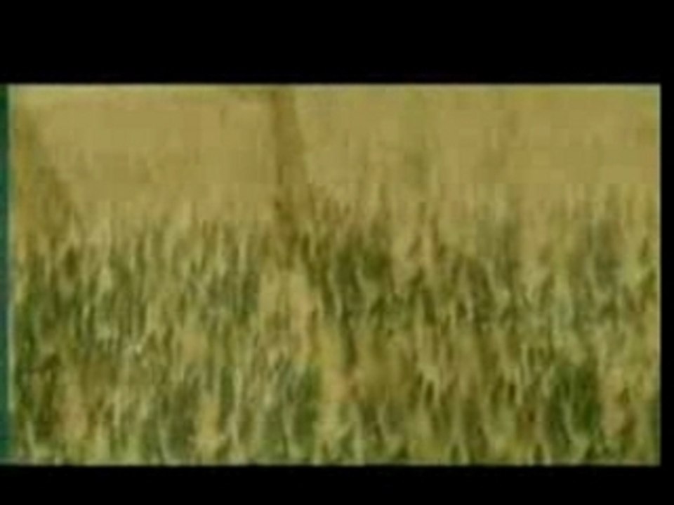 عباس يا عباس