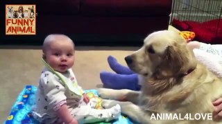 Baby and Golden Retriever - Bebé y perro perdiguero de oro