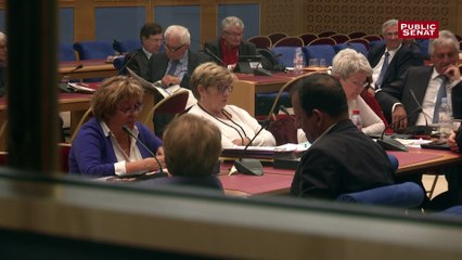 Majorité présidentielle: les sénateurs PS dans l’expectative