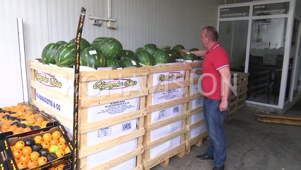 Si po i dëmton importuesit e pemëve e perimeve zhdoganimi