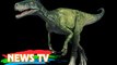 Sau 130 năm, phả hệ khủng long có nguy cơ viết lại vì phát hiện này!