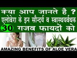 एलोवेरा से हैं सौन्दर्य व स्वास्थ्यवर्धक गजब फायदे|30 Amazing Beauty & Health Benefits Of Aloe Vera