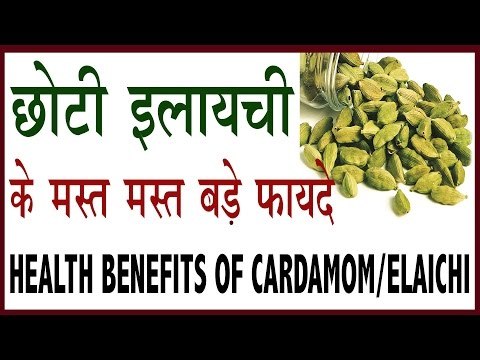 छोटी इलाइची के मस्त मस्त हैरान करने वाले फायदे | Health Benefits Of Cardamom/Elaichi In Hindi