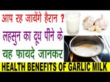 लसहुन का दूध पीने से होते हैं गजब फायदे |  Amazing Benefits Of Garlic Milk In Hindi