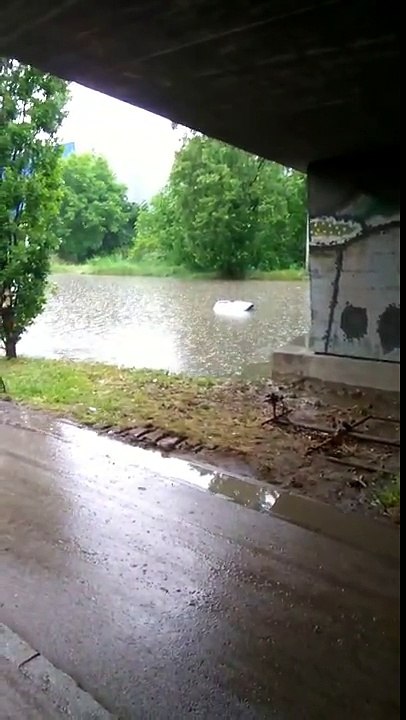 Srbija poplave