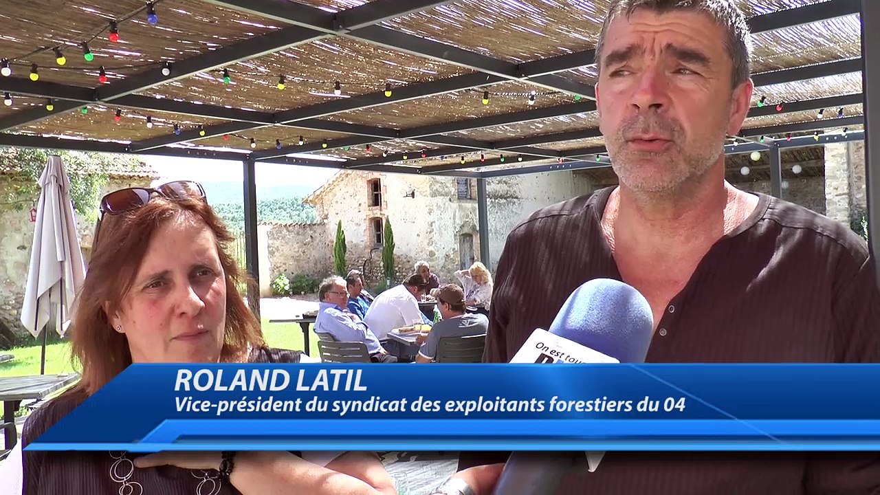 Alpes du Sud : les exploitants forestiers manifestent et interrompent la vente de bois de l'ONF