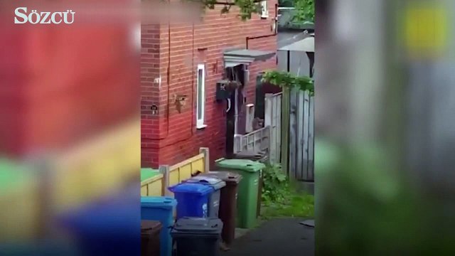 Konseri kana bulayan terörist belli oldu