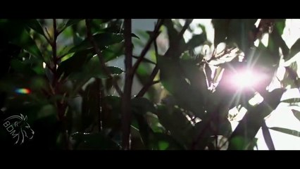 السر الأعظم - قانون الجذب