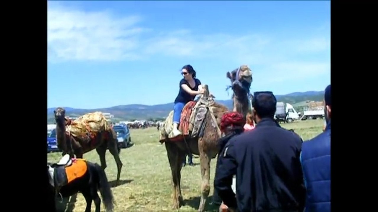 2017 Karacabey Panayırı