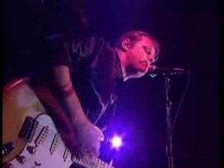 Walter Trout and The Radicals- live and kicking'1998 part1