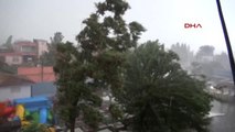 Şanlıurfa Ceylanpınar'da Fırtına Çatıları Uçurdu, Ağaçları Devirdi