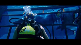 47 Meters Down Trailer #2 (2017)