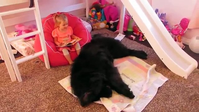 Un énorme chien se couche devant cette fillette, mais regardez bien ce qu'elle tient dans ses mains!