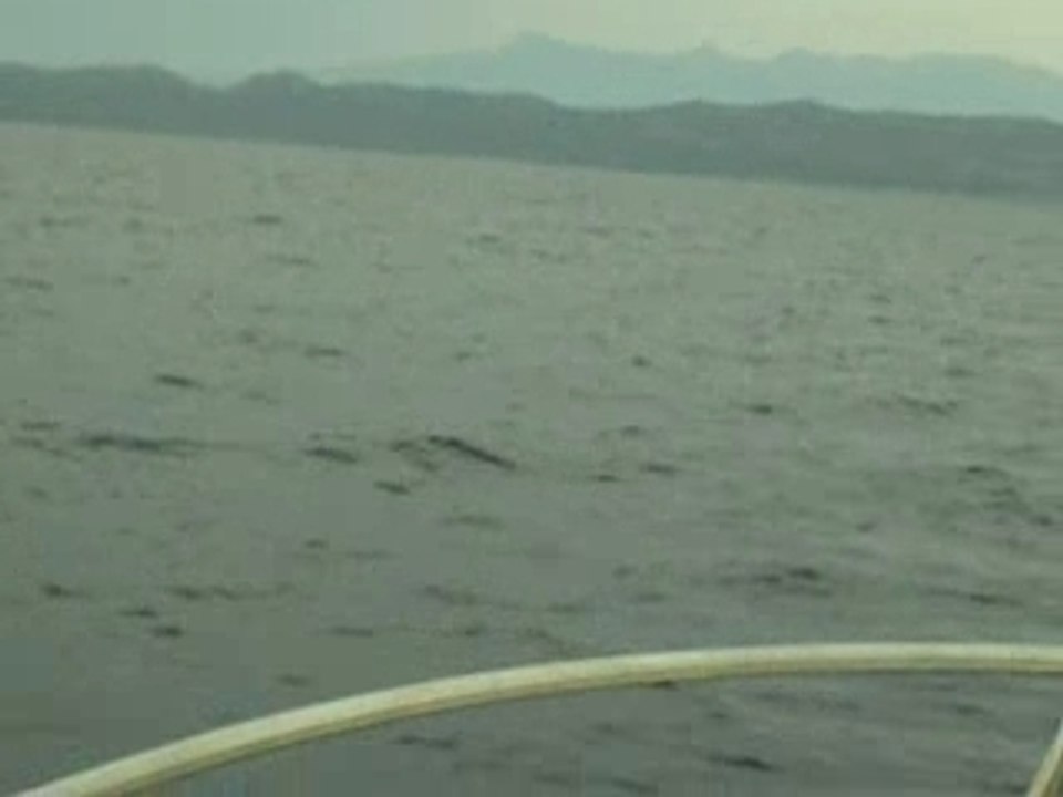 IMGP1527