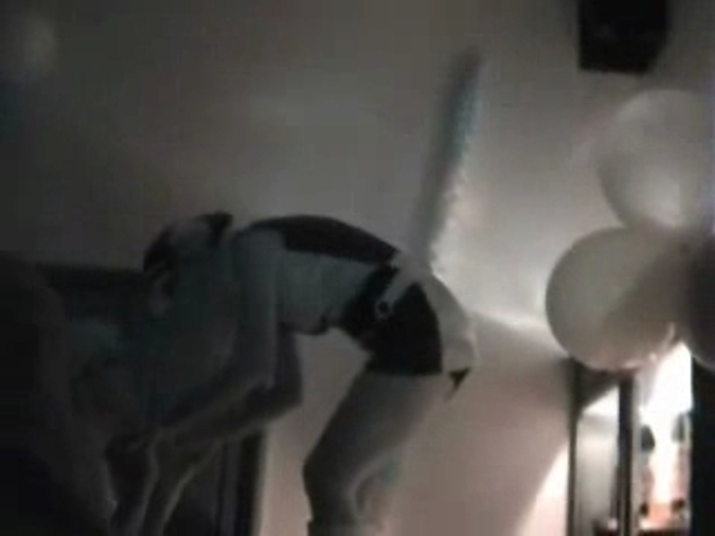 ⁣Revival birthdays partie 2