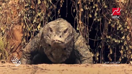 بـرنـامـج رامـز تحـت الارض - رمضـان 2017