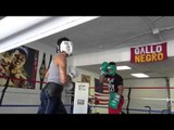 great sparring at pullams gym burbank california EsNews Boxing