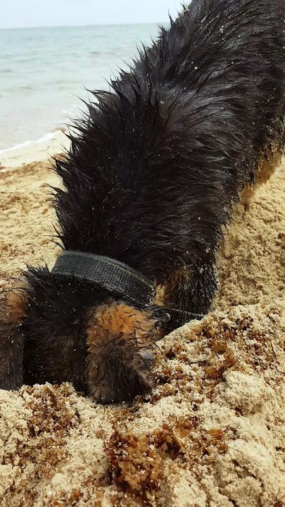 Digging for Treasure