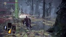 Dark Souls IIl (22)