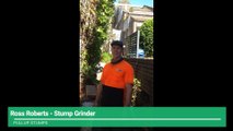 Stump Grinding - Pullup Stumps Central Coast