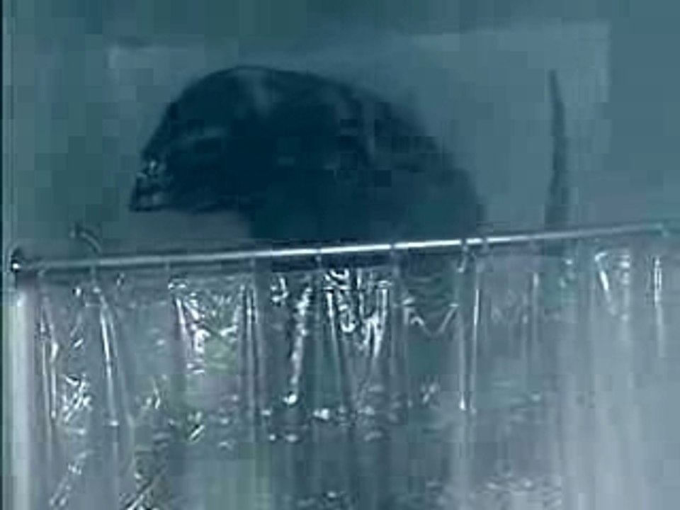 Alien Vs Predator (Shower)