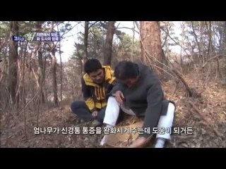 자연에서 행복을 찾는 화 도사 [코리아헌터66회]