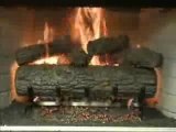 Peterson Golden Oak Vented Gas Logs Video