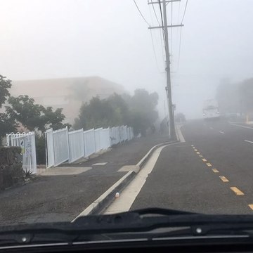 Winter Fog Blankets Brisbane