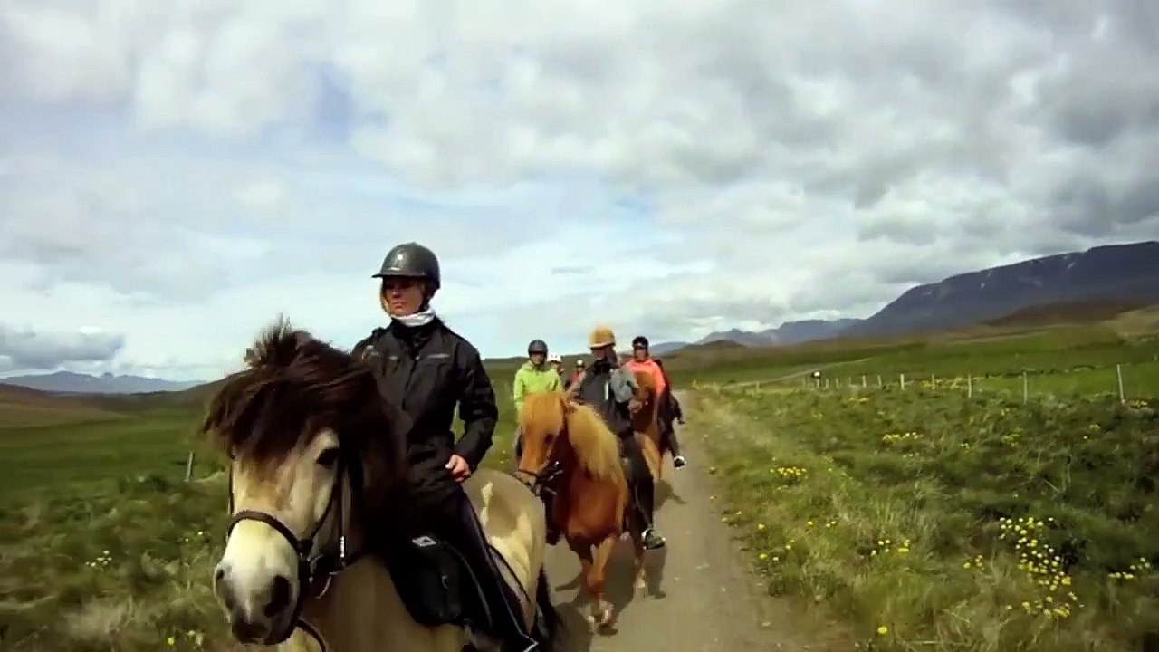 Horse Riding - Icelandic