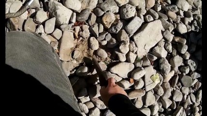 Metal Detecting River