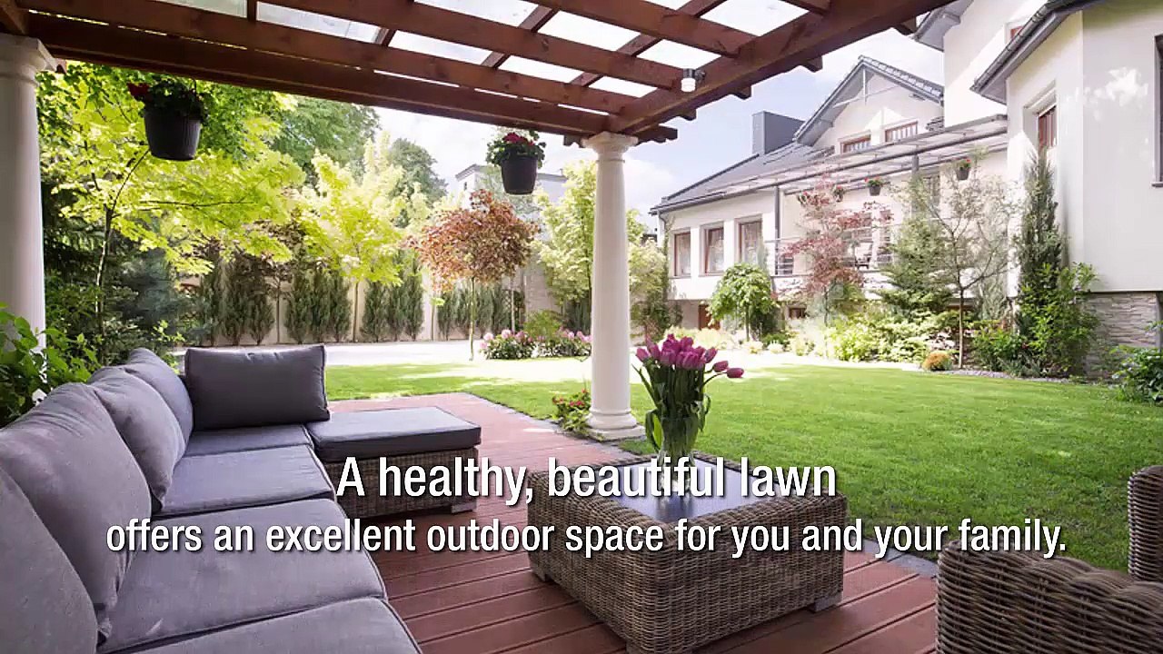 Increase Lawn Aesthetics By Working With Pleasant Green Grass