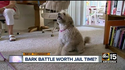 90-year-old facing jail time over barking dog