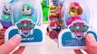 Best Preschool Learning Vide for Toddlers Teach Colors for Kids Paw Patrol Weebles Toy Pla
