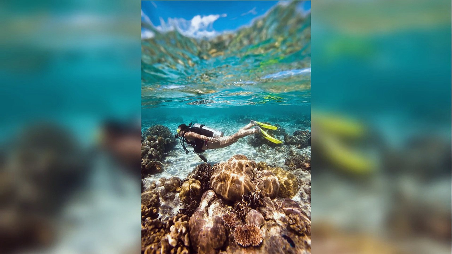 Thailand Diving