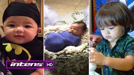 Lucu dan Pintar Ketiga Bayi Selebriti Ini - Intens 24 Mei 2017