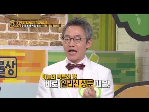 죽염으로 초기감기 잡는 비법 [살림9단 만물상 52회]