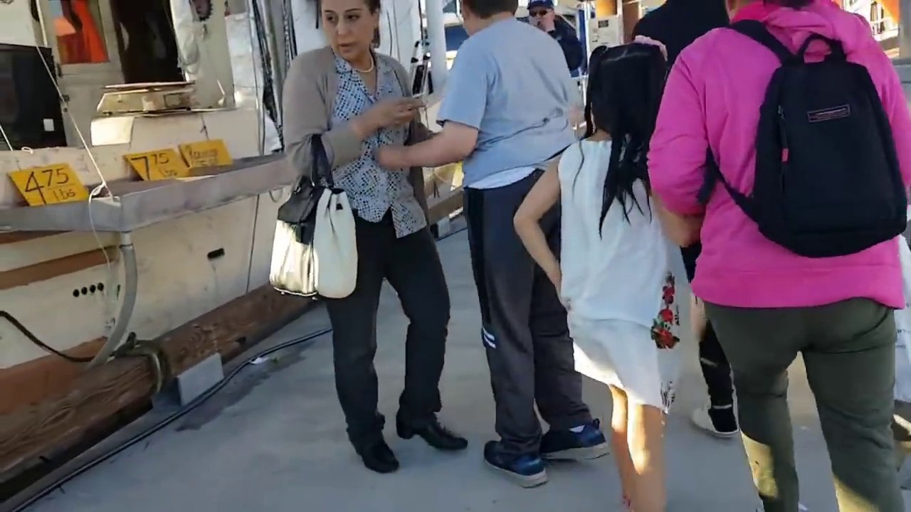 Seal Pulls Girl Into Water