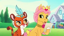 Le Petit Royaume des Palace Pets - Chasse