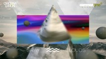 Carolina Limón - Gray Clouds (Original Mix)