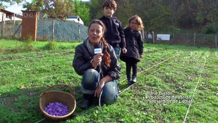 VOYONS VOIR - 24 MAI 2017 - Voyons Voir  - TéléGrenoble