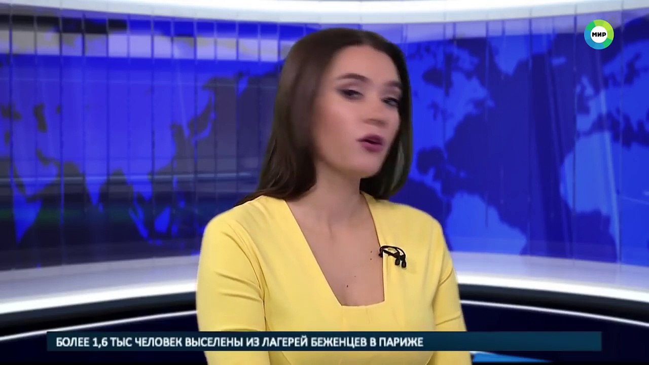 Dog Suddenly Appears In The Newsroom During Live Telecast Reporter’s Reaction Is Priceless