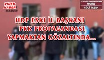 (25 MAYIS 2017) HDP ESKİ İL BAŞKANI   PKK  PROPAGANDASI  YAPMAKTAN  GÖZALTINDA…
