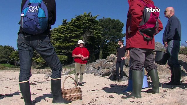 Trégunc (29). A la pêche aux algues alimentaires
