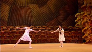 THE BRIGHT STREAM (Preview 2) - Bolshoi Ballet i