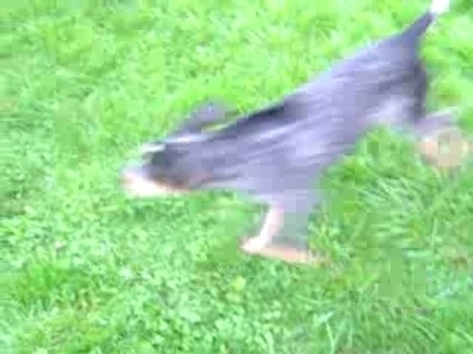 MOV04716