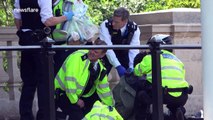 Man arrested outside Buckingham Palace as the Queen leaves