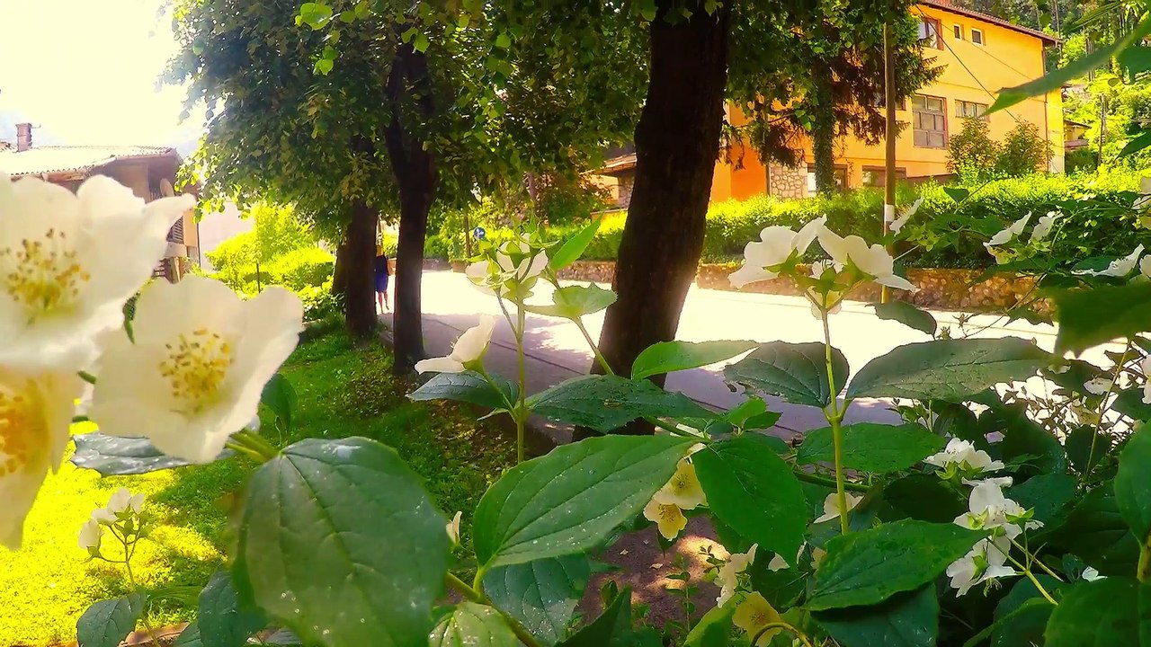 Želim otići u svoj rodni kraj .......Konjic